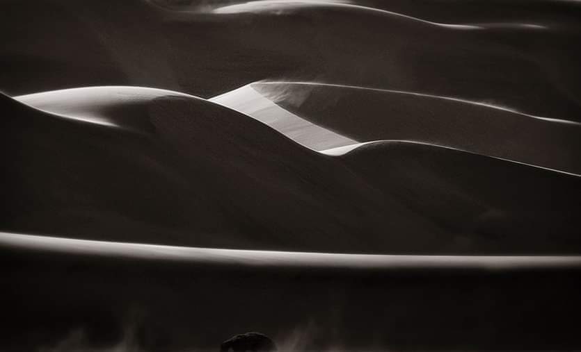 Wildbeobachtung am Wasserloch in Namibia
