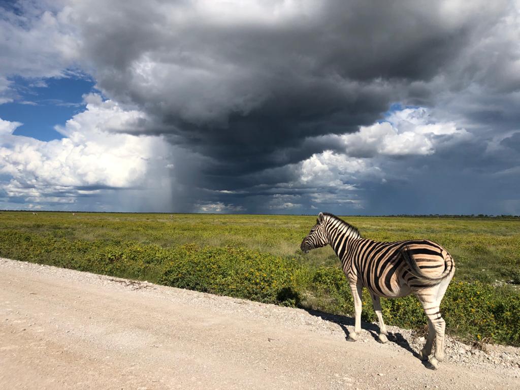 Namibia Urlaub - Entspannung am Pool der Lodge