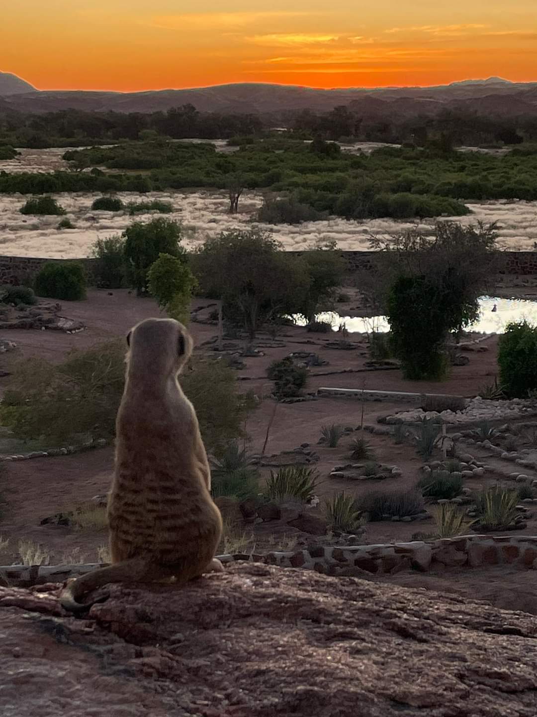 Blick in den weiten Sternenhimmel Namibias